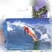 surf saga - Dec 1997