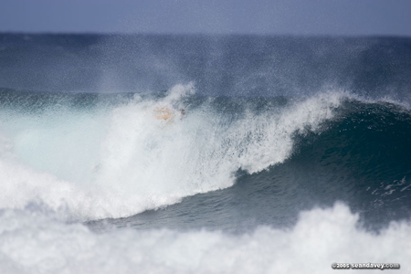 surfing2009